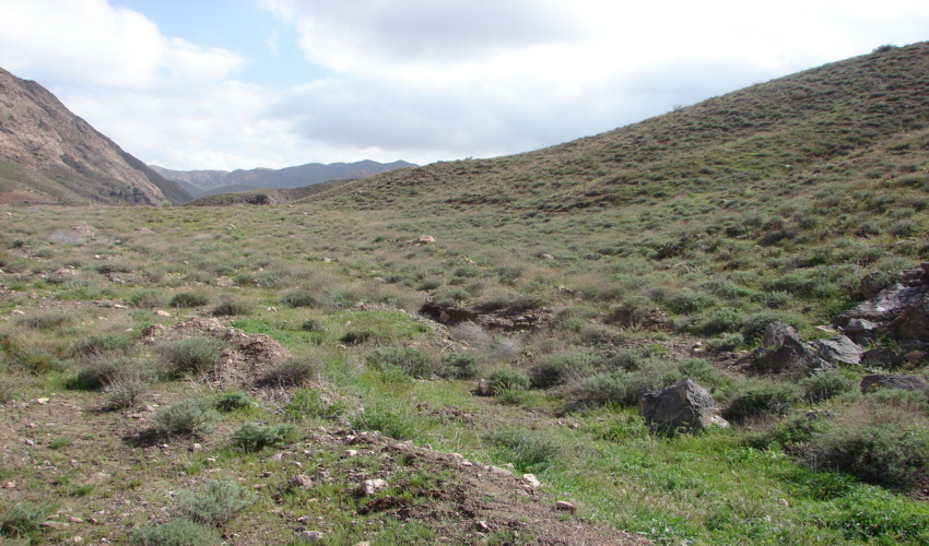 رویش بهار زندگی در خوسف