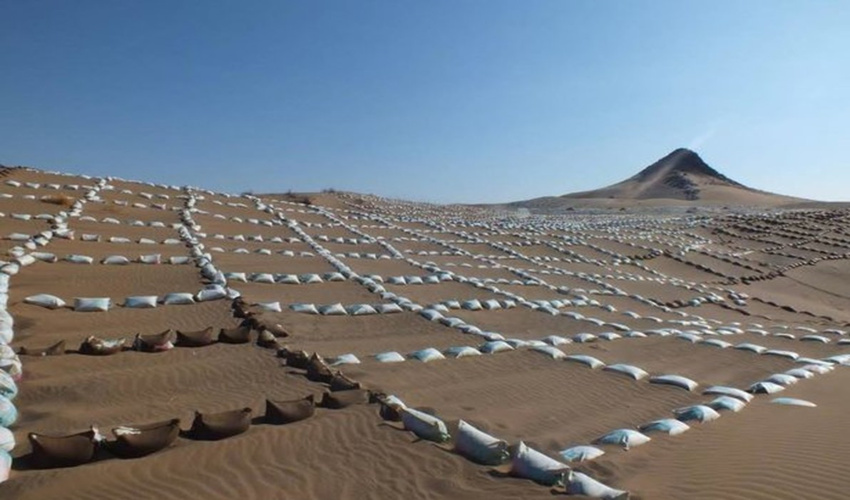 دستاوردهای موفق پروژه بین المللی بیابان زدایی سرایان