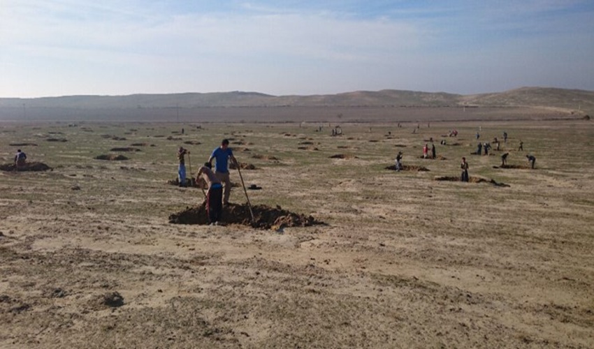 عملیات مقابله با بیابان‌زایی و آبیاری سنواتی در ۱۳ هزار هکتار از اراضی خراسان جنوبی