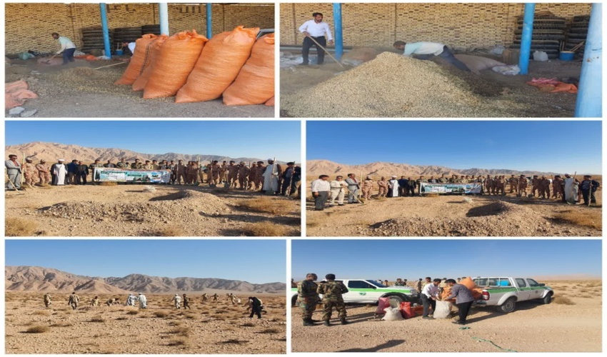 برگزاری پویش مردمی بذرکاری برای احیای مراتع خراسان جنوبی در شهرستان زیرکوه