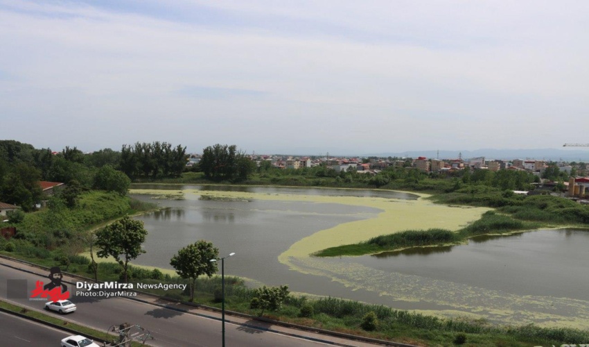 برگزاری کلاس ترویجی و نهالکاری در دبستان حکمت شهرستان زیرکوه