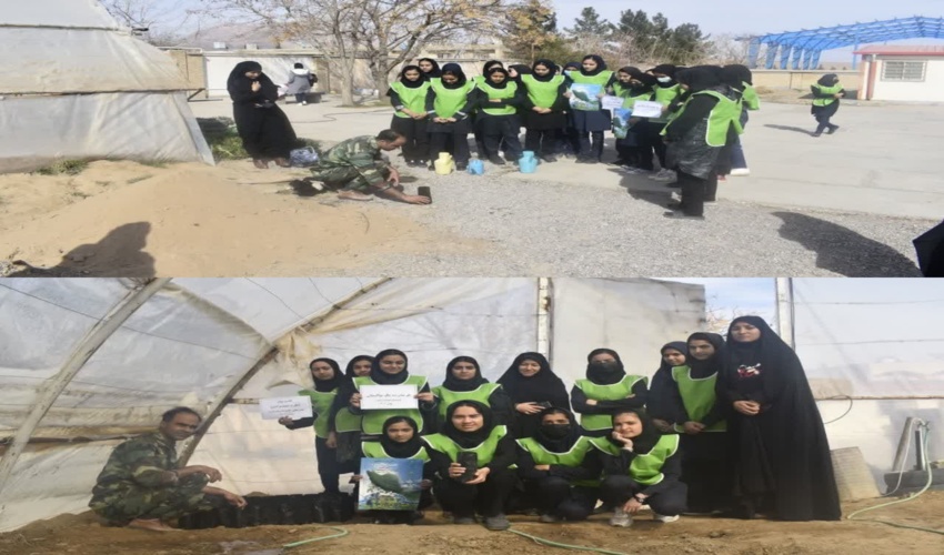 اجرای طرح شهید مرادی با موضوع ایجاد نهالستان در مدارس شهرستان زیرکوه