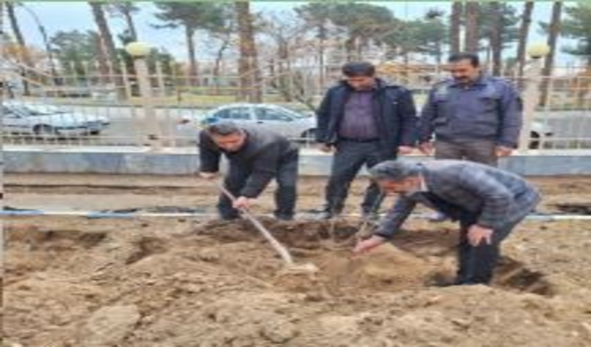  برگزاری جشن روز درختکاری