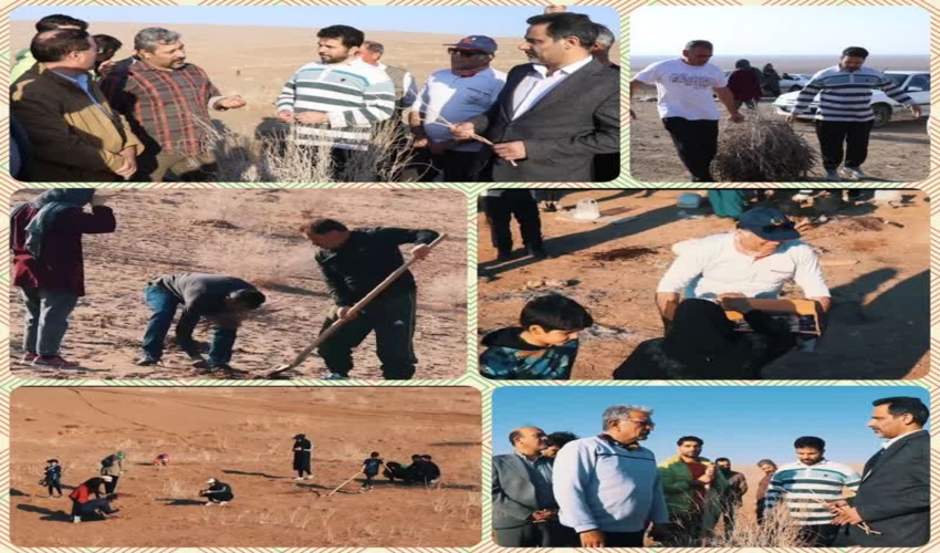 توزیع نهال رایگان در مراسم هفته منابع طبیعی در شهرستان زیرکوه