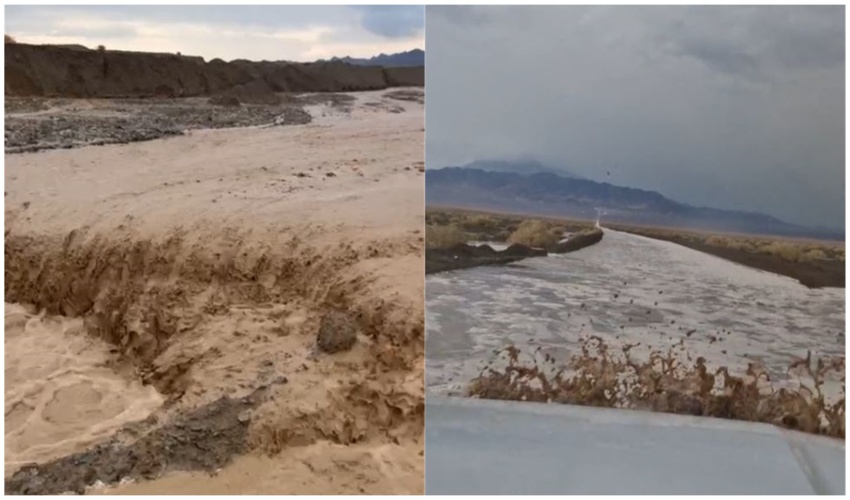 بهار به دنبال جبران کمبود های زمستان آمد.