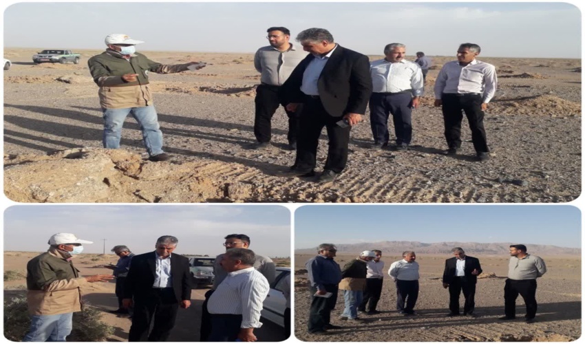 بازدید مدیر کل و معاون دفتر امور بیابان سازمان منابع طبیعی کشور از نهالکاری بخشی از طرح ۱۰۰ هزار هکتاری دهشور