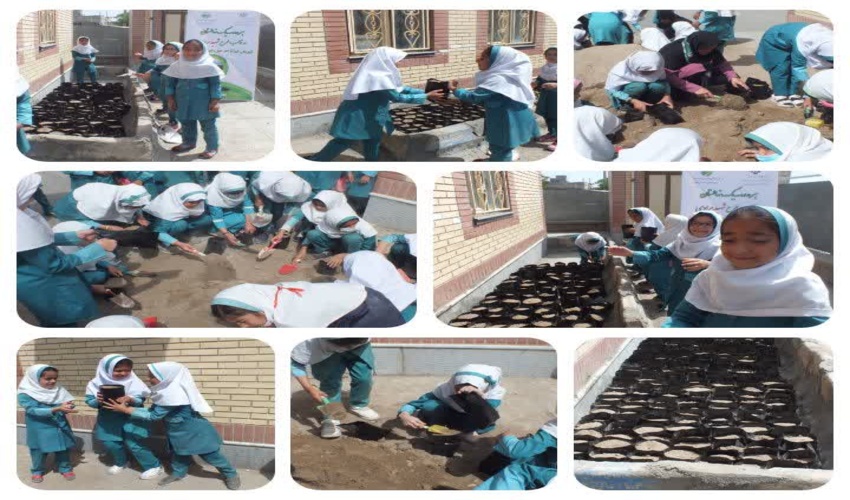 9 نهالستان در 9 مدرسه ی شهرستان بیرجند احداث شد 