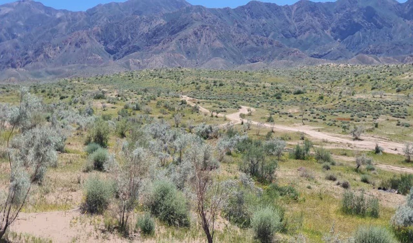 آخرین فرصت تکمیل مدارک مرتع داران تا پانزدهم مردادماه سال جاری در سامانه سمطا 