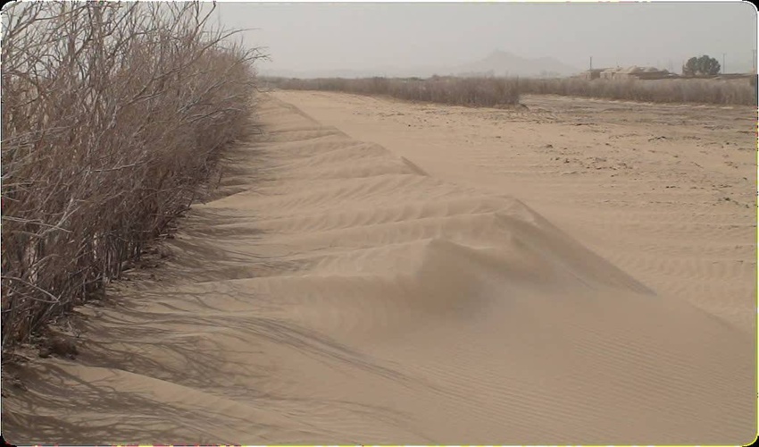 کاهش اثرات پدیده گردو غبار با اقدامات حوزه مقابله با بیابان زایی در استان