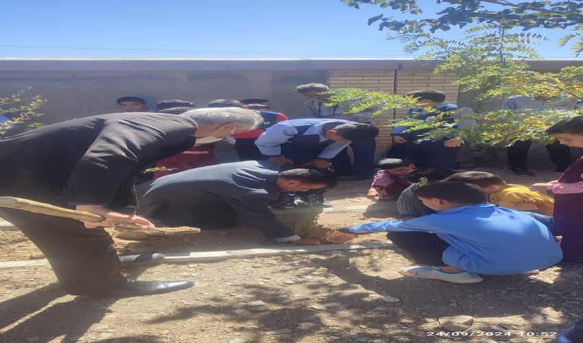 کاشت نهال توسط مدیر کل منابع طبیعی وآبخیزداری خراسان جنوبی 