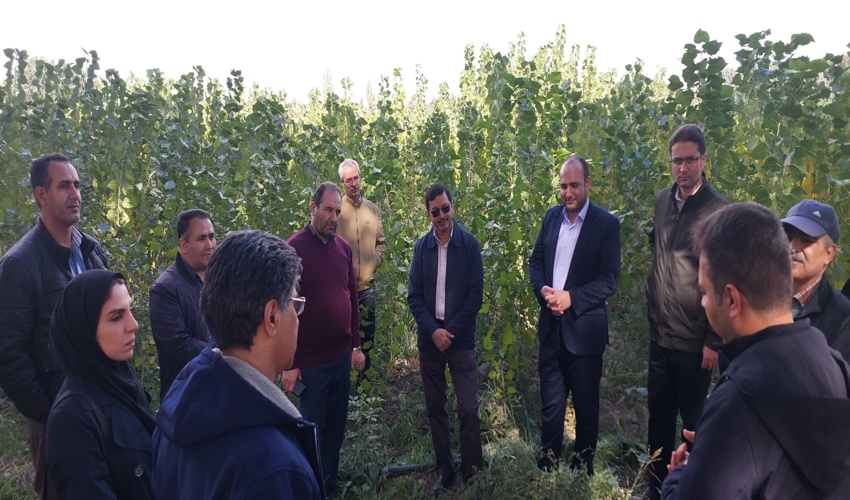 آبیاری طرح مدیریت جنگل‌های کجه