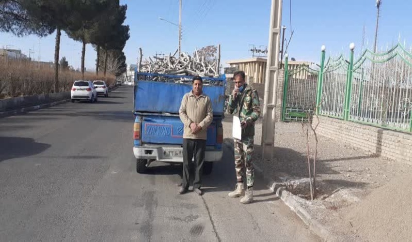 بازرسی محموله چوب