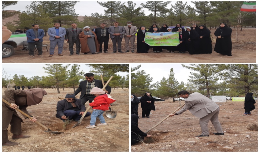 اجرای پویش سراسری درختکاری با عنوان "به نام پدر" در شهرستان قاینات 