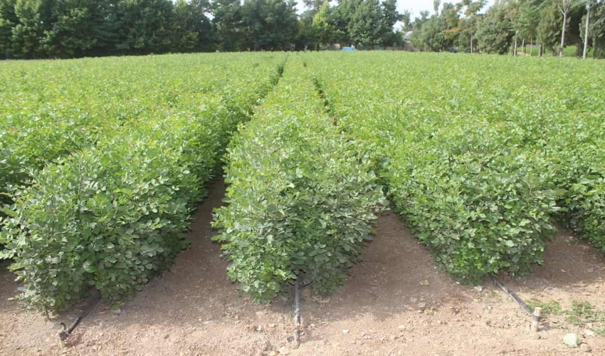 دیدار چهره به چهره با مردم 