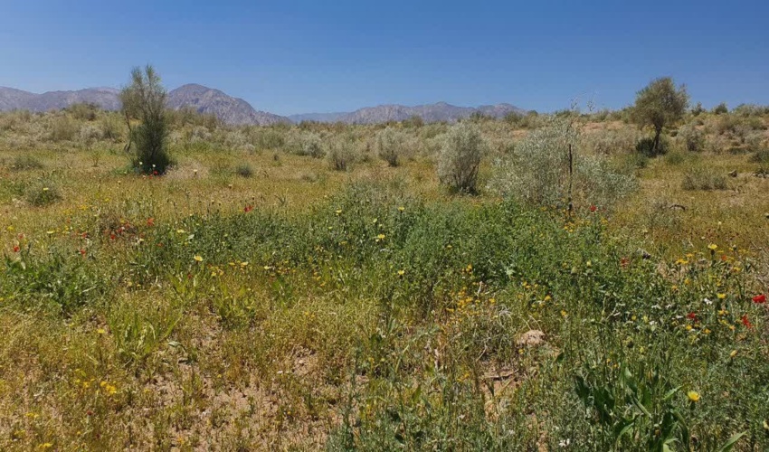 کسب رتبه اول اداره کل منابع طبیعی و آبخیزداری خراسان جنوبی در ثبت اطلاعات ممیزی سامان های عرفی