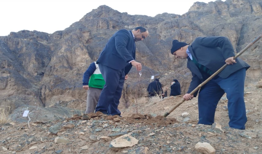 پویش سبز منتظران مهدی در بیرجند برگزار شد .