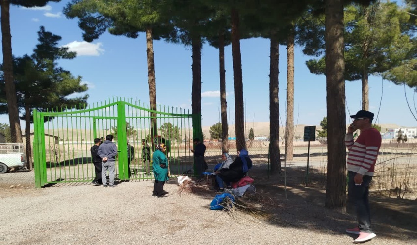 آغاز توزیع نهال میوه ده و غیر میوه در در بیرجند 