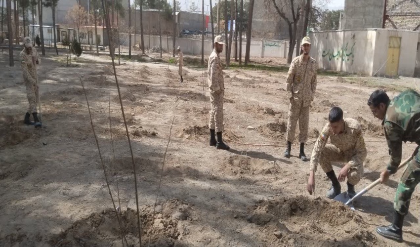 315 اصله نهال توسط قرار گاه لشگر 30 بیرجند کاشته شد . 