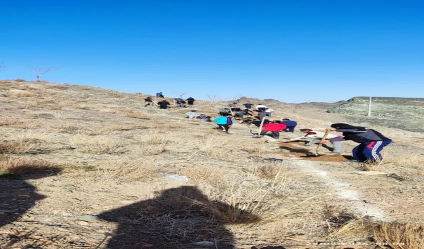 200 اصله نهال در ارتفاعات باقران کاشت شد . 