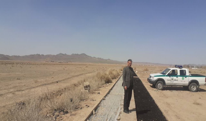 کاشت نهال پسته در فردوس