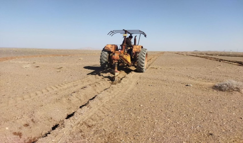 آغاز عملیات احداث بادشکن زنده در کانون‌های بحرانی منطقه پلوند فردوس