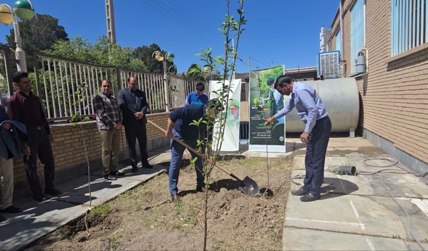 کاشت ۱۱۷ اصله نهال در کتابخانه‌های عمومی خراسان جنوبی