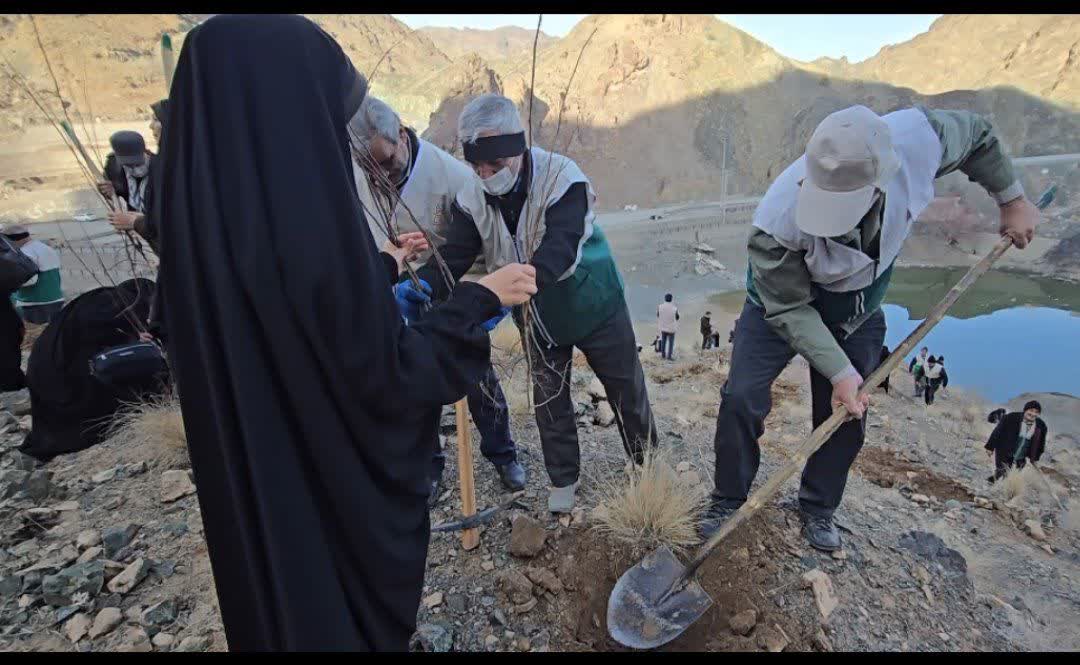 کاشت350 نهال به یاد شهدا در بیرجند